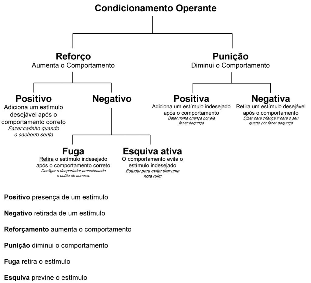 condicionamento_operante_esquema | Blog Maxi Educa