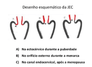 desenho esquemático da JEC