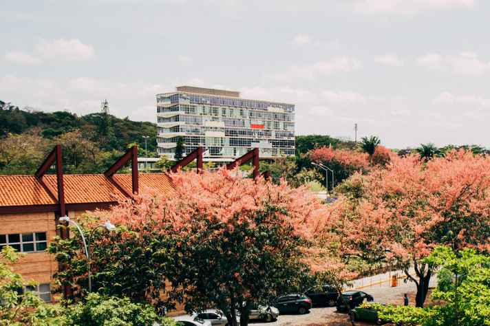 Concurso UFMG: Edital para Técnico Administrativo. 31 vagas!