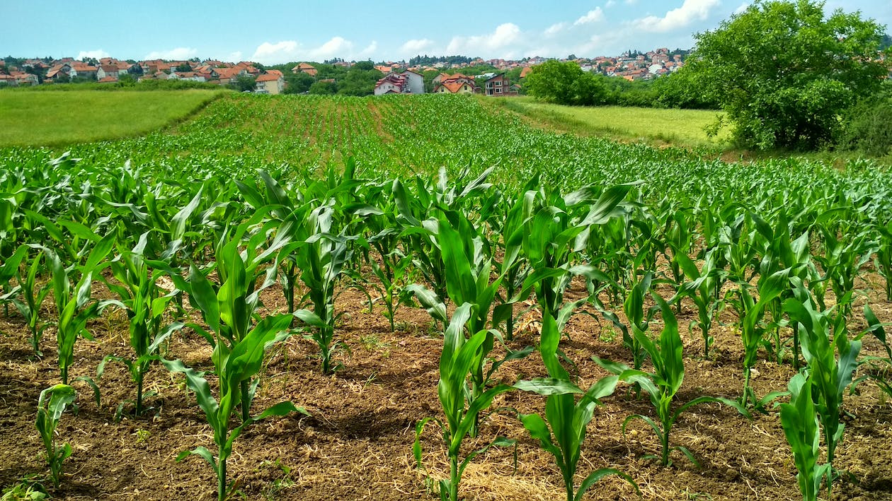 Saiu o edital do concurso CIDASC (Companhia Integrada de Desenvolvimento Agrícola de Santa Catarina), com oferta de 54 vagas imediatas, além de oportunidades de cadastro reserva com salários de até R$ 7 mil!