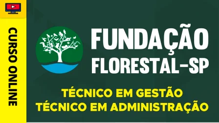 FUND-FLORES-SP-TEC-GES-ADM-CUR202602857