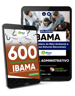 Combo IBAMA - Analista Administrativo
