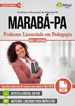 Professor Licenciado em Pedagogia