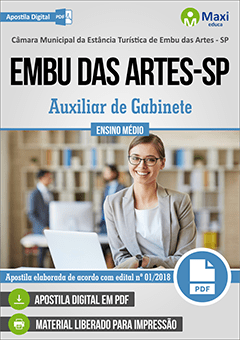 Auxiliar de Gabinete