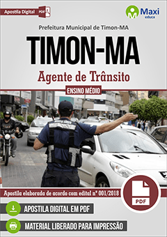 Agente de Trânsito