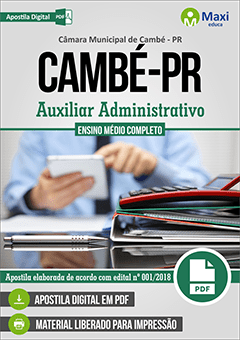 Auxiliar Administrativo