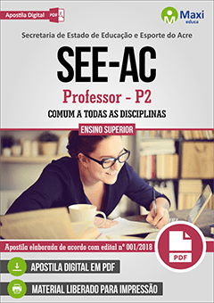 Professor - P2