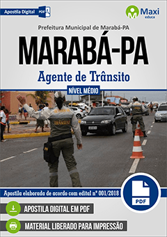 Agente de Trânsito