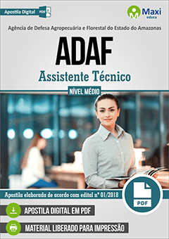Assistente Técnico