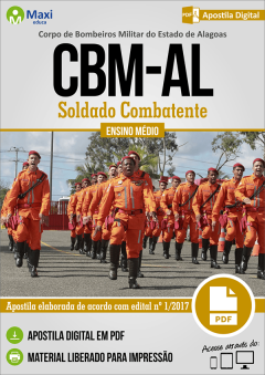 Soldado Combatente
