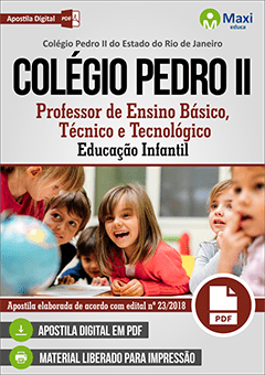 Professor de Ensino Básico, Técnico e Tecnológico Educação Infantil